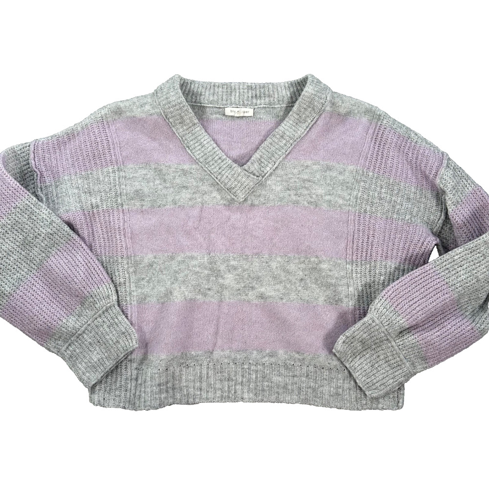 Blu Pepper V-Neck Stripe Pullover Sweater Women's Medium Gray/Purple Knit Boxy